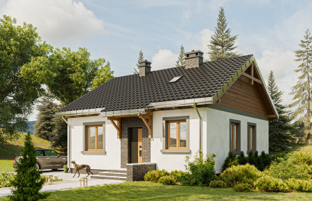 Czyżyk