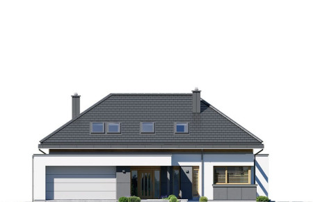 Hiacynt 4