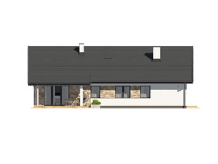 Awokado 4 (Y)