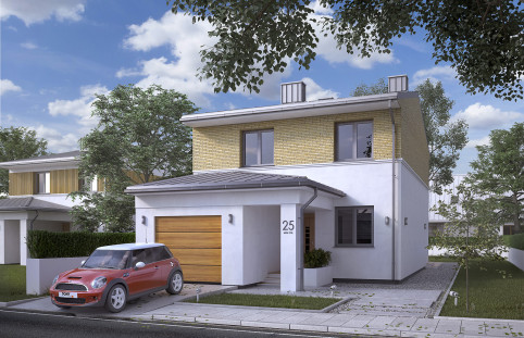 Limba W2 (CE)
