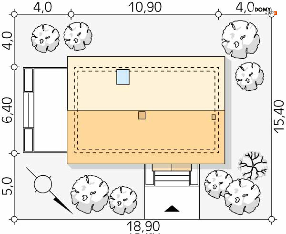 Lisek dr-T (DR-T)